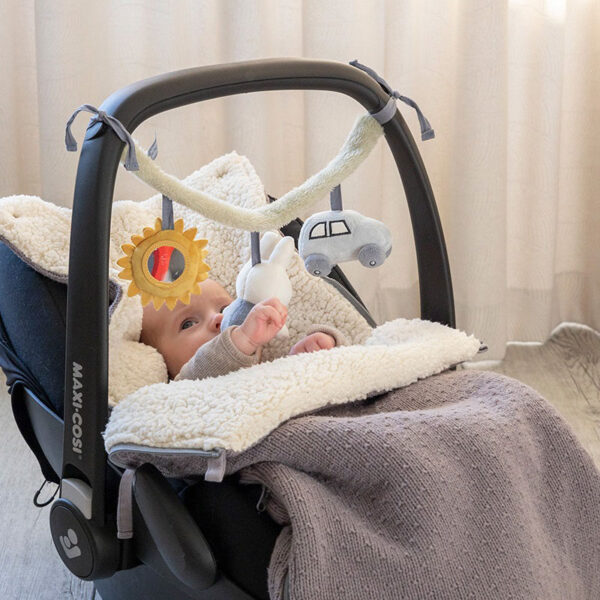 Maxi Cosie Hanger Jongen 1