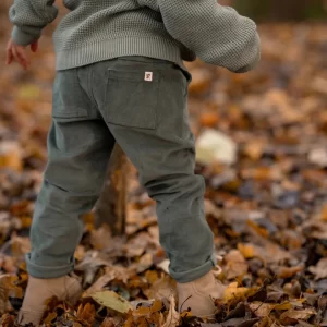 0030249 Ribbroek Groen Forest Friends