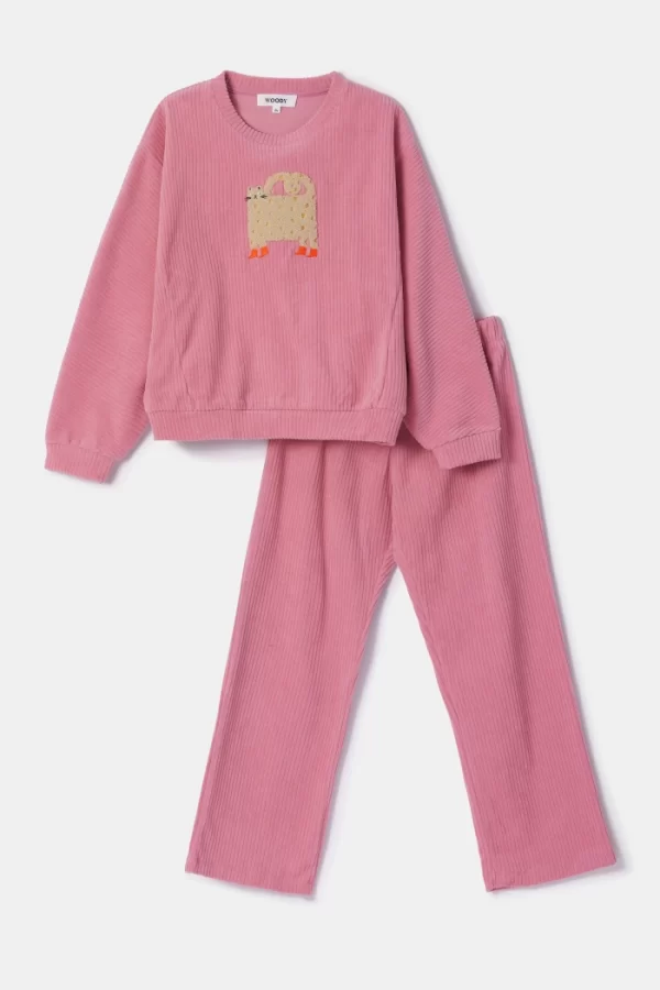 Https Woodyworld.com Media Catalog Product T S TS1751982665TS 252 10 WPA V 404 Girls Roze Gestreepte Pyjama In Velours 4 75af