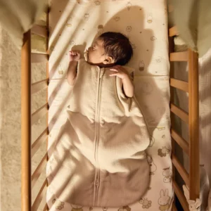 062 410 68163 6 20260106T